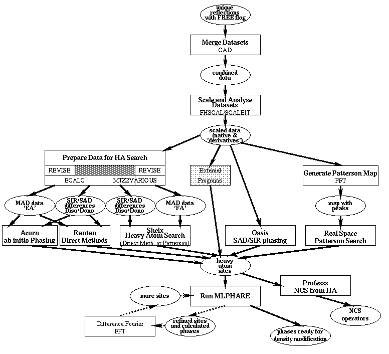 Experimental Phasing roadmap