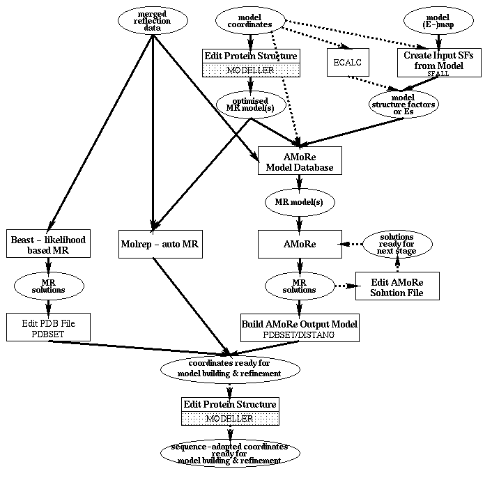 Molecular Replacement roadmap